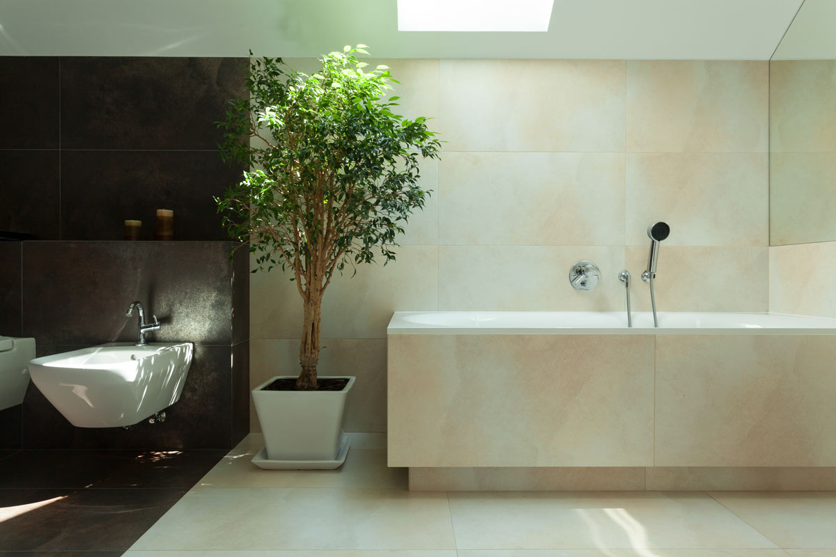 Bathroom Renovation Trends for your Sydney Home